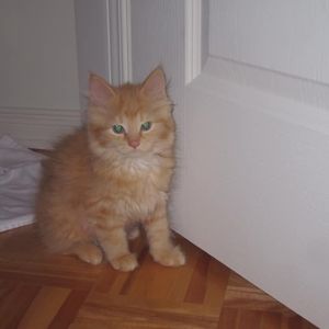 Meet your Posher, Anna